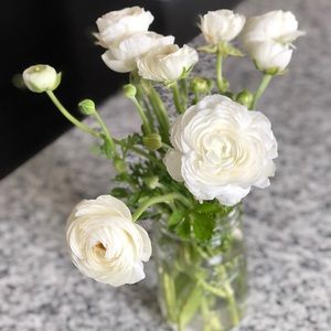 Meet your Posher, Joanna